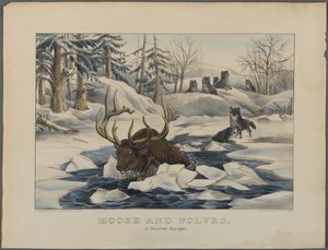 Moose and Wolves, A Narrow Escape, published by Currier & Ives, New York by American School
